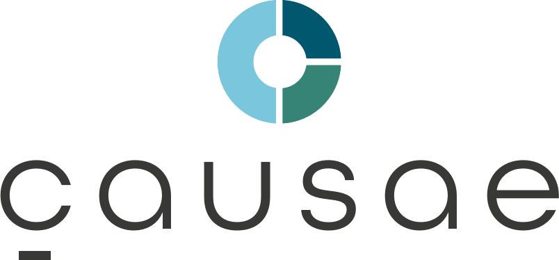 Causae | Conseil en stratégie de comm. & collecte